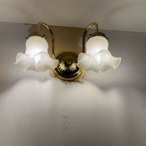 2 vintage Double Wall Sconce with Frosted Floral Glass Shades